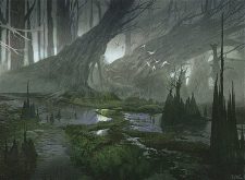 Swamp