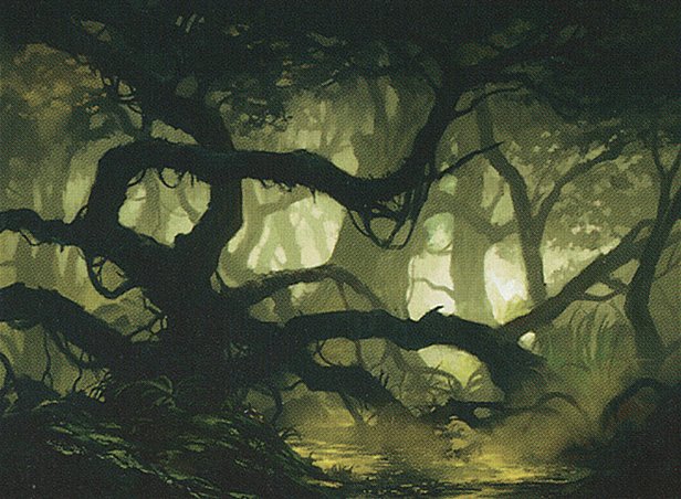 Swamp