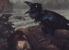 Carrion Crow