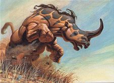 Charging Rhino