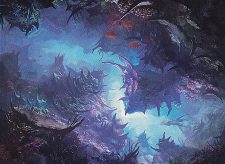 Coral Barrier