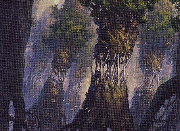 Evolving Wilds