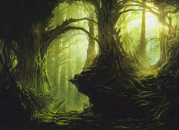 Forest