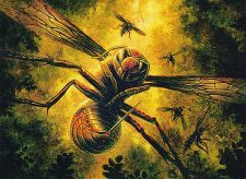 Hornet Queen