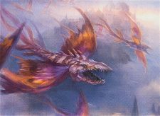 Kapsho Kitefins