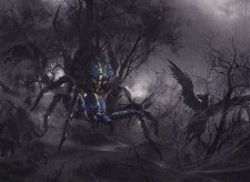 Netcaster Spider