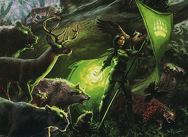 Paragon of Eternal Wilds