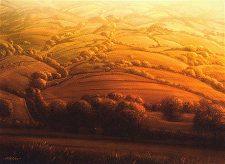 Plains