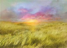 Plains
