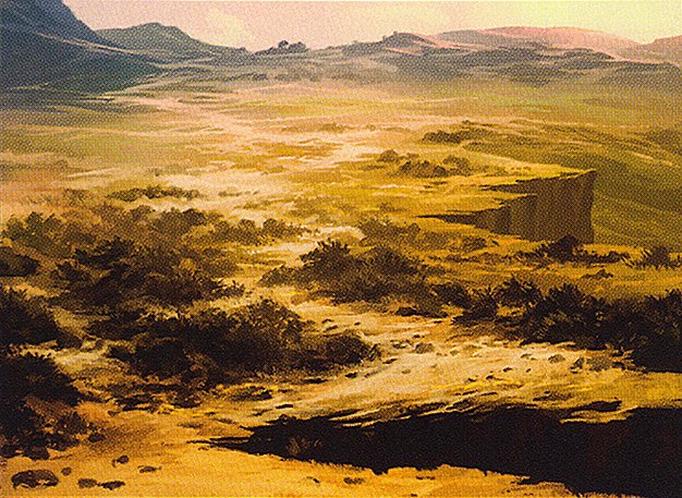 Plains