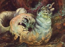 Rotfeaster Maggot