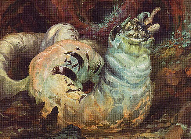 Rotfeaster Maggot