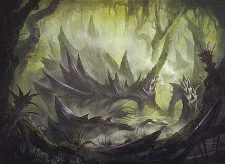 Swamp