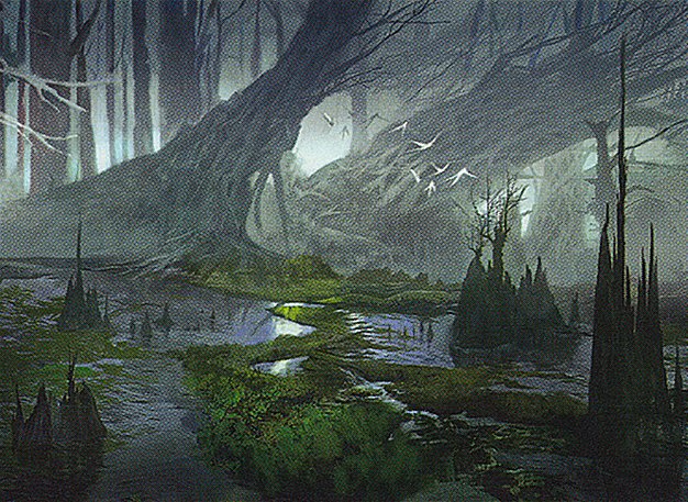 Swamp