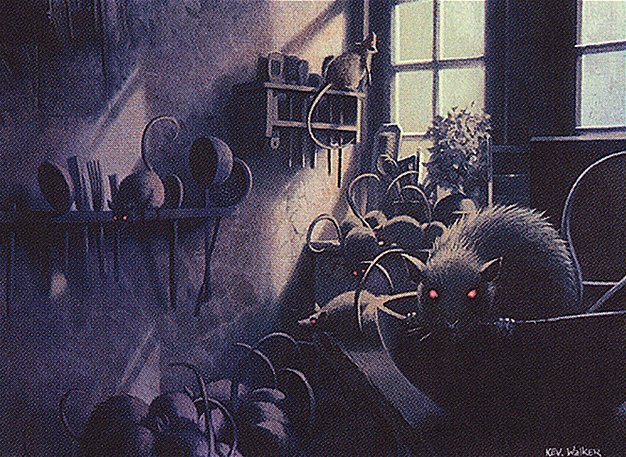 Typhoid Rats