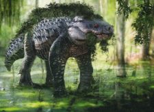 Bogstomper