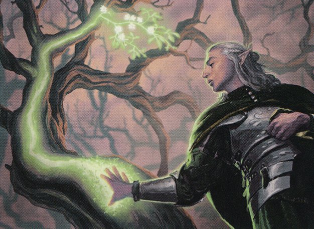 Elvish Rejuvenator