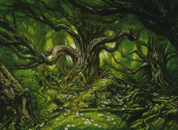 Forest