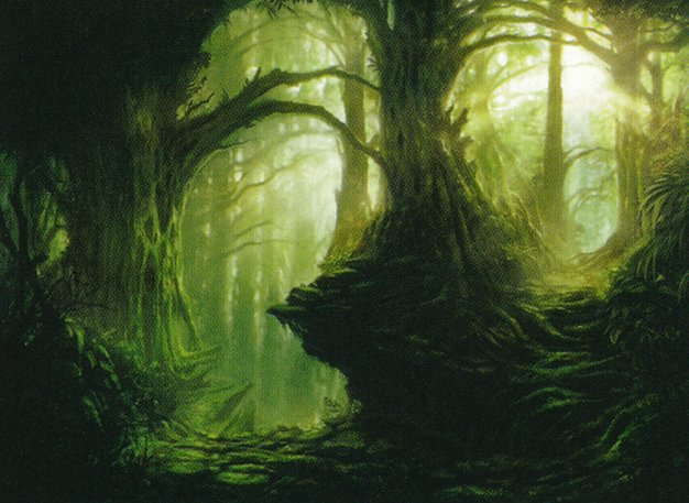 Forest