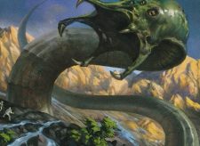 Pelakka Wurm