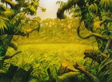 Plains