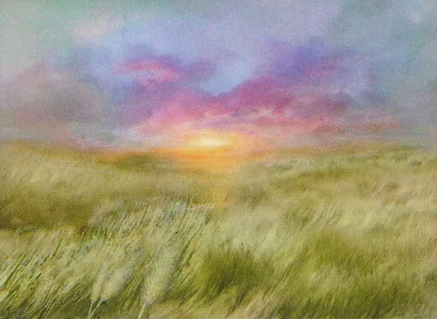 Plains