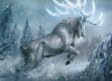 Star-Crowned Stag