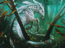 Surge Mare