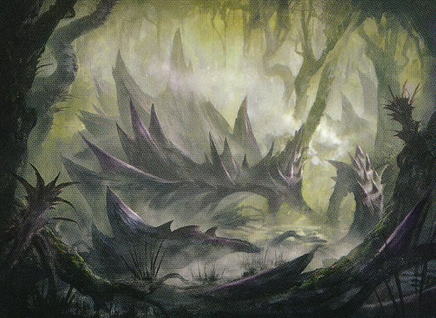 Swamp