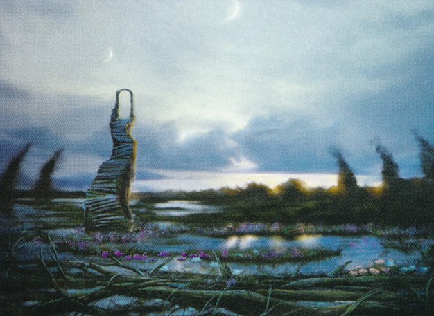 Swamp