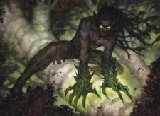 Talons of Wildwood