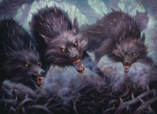 Thornhide Wolves