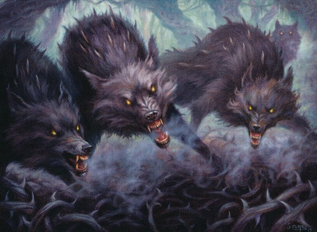 Thornhide Wolves