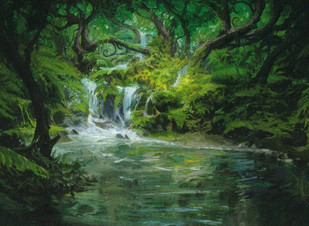 Woodland Stream