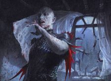 Blood Burglar