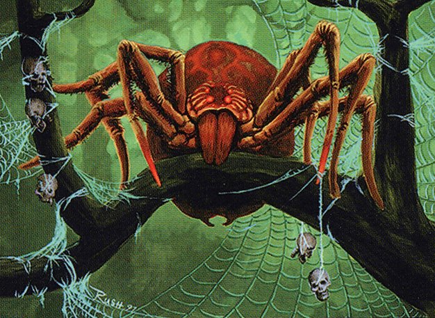 Canopy Spider