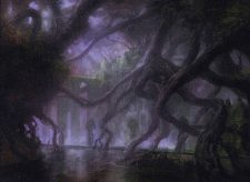 Dismal Backwater