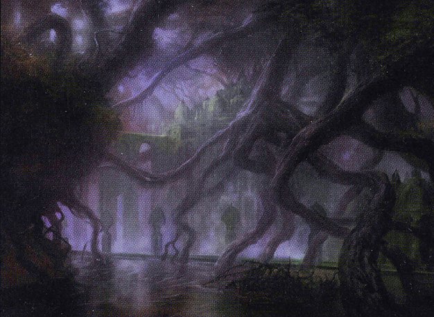 Dismal Backwater