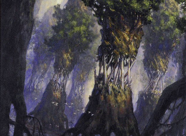 Evolving Wilds