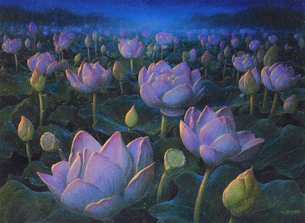 Lotus Field