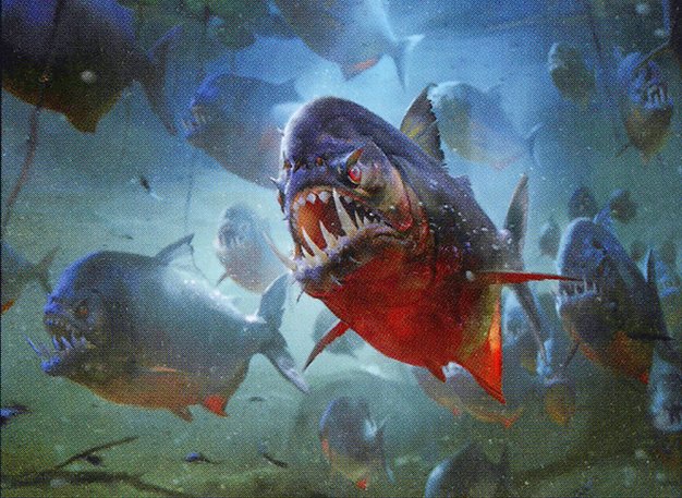 Moat Piranhas