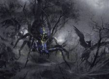 Netcaster Spider