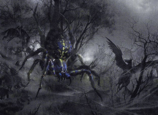 Netcaster Spider
