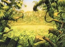 Plains