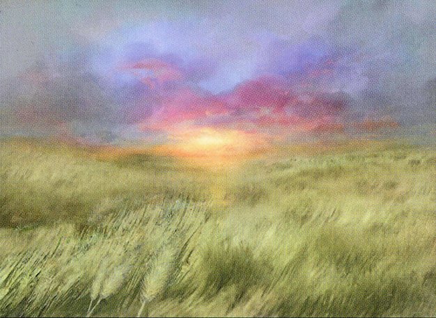 Plains