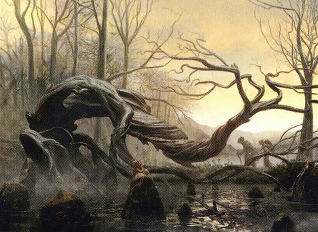 Swamp