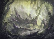 Swamp