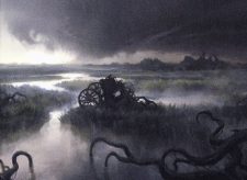 Swamp