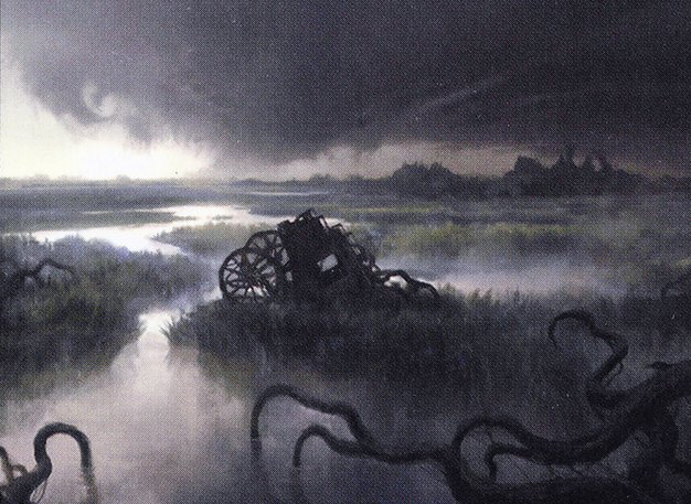 Swamp