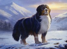 Alpine Watchdog
